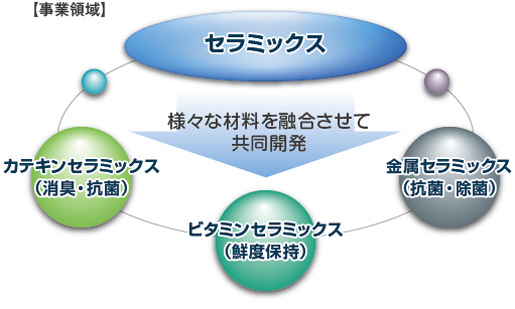 事業領域